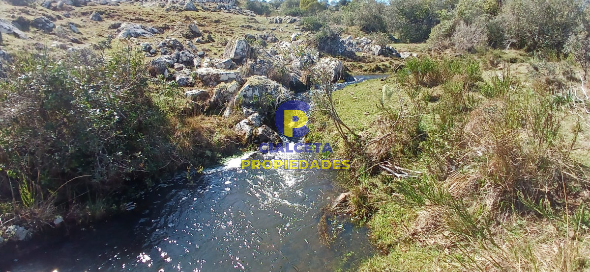 Campo Ref.308 - 395 hectáreas en Lavalleja