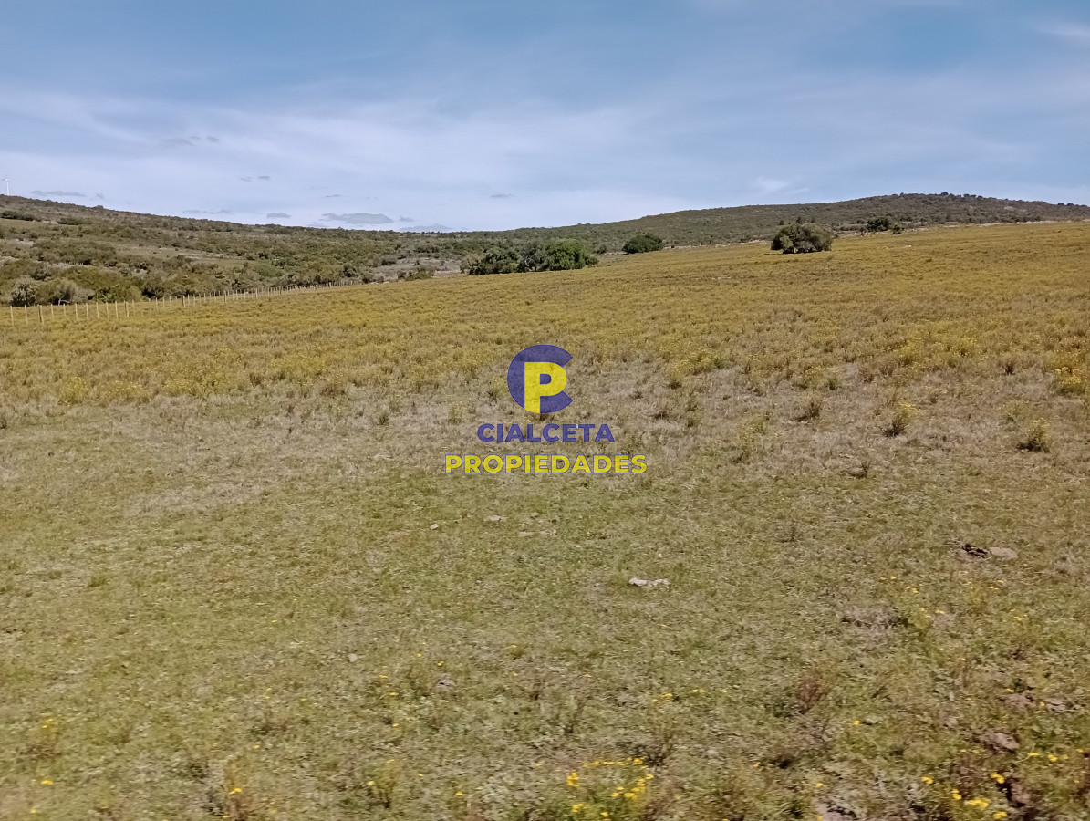 Campo Ref.209 - 5 hectáreas en Pueblo Edén