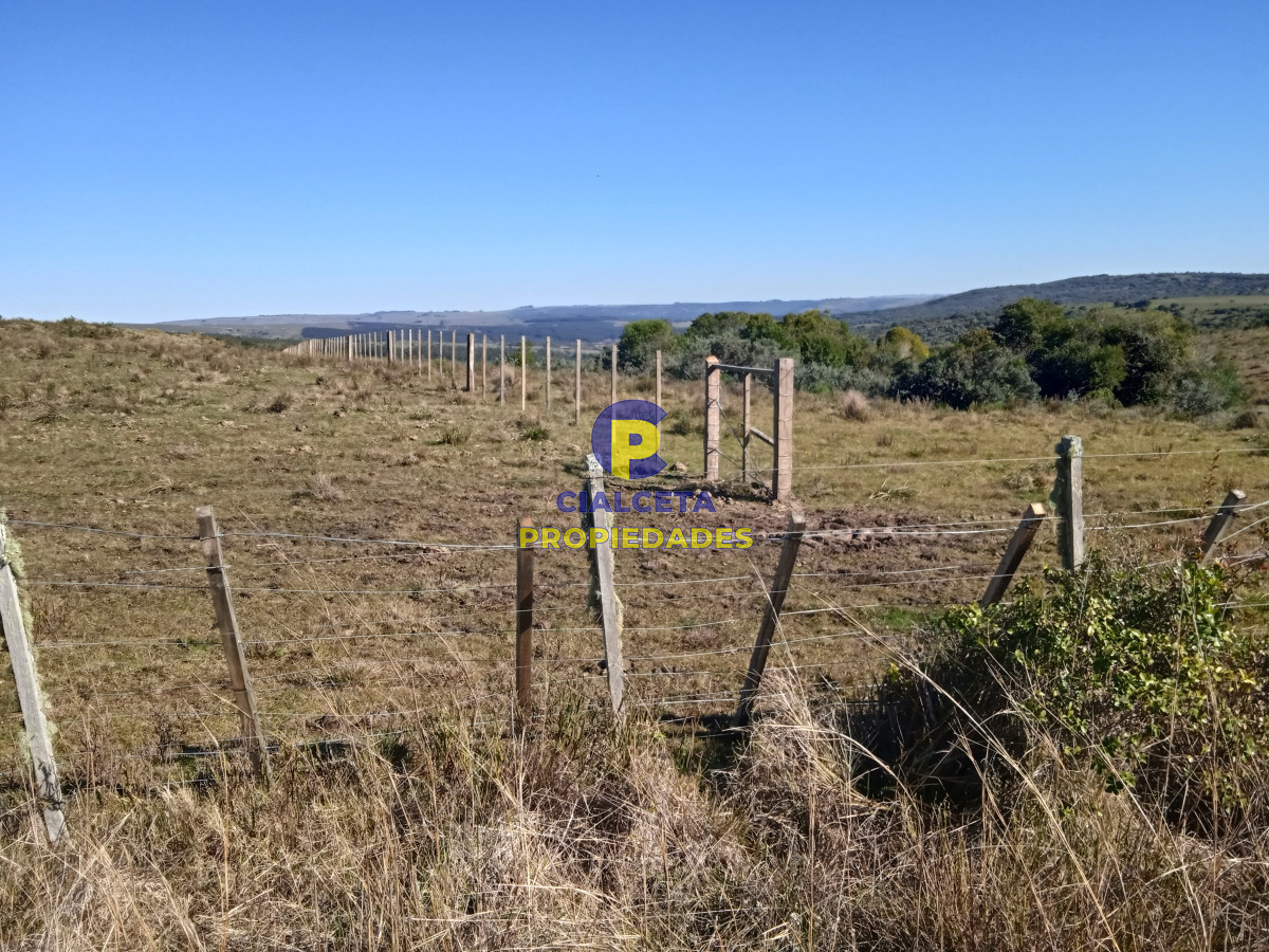 Campo Ref.283 - 273 hectáreas y media en Lavalleja