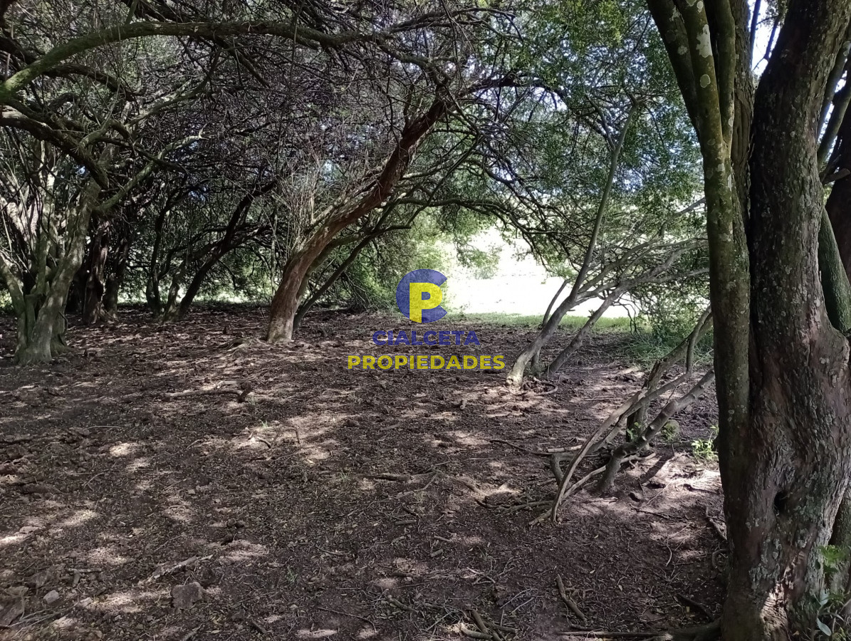 Campo Ref.316 - 32 hectáreas en Maldonado