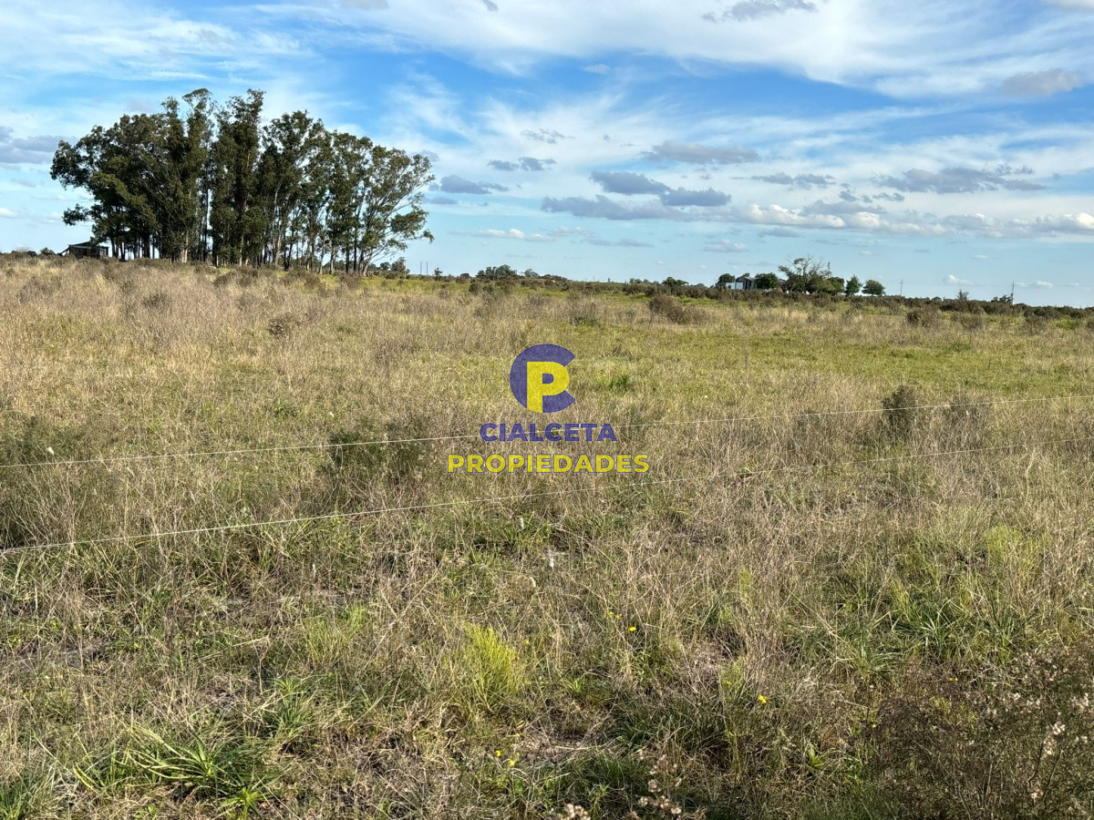 Campo Ref.437 - 15 hectáreas de buena tierra