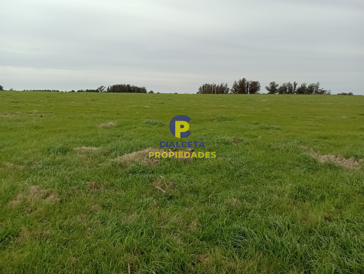 Campo Ref.293 - 15 hectáreas en Maldonado