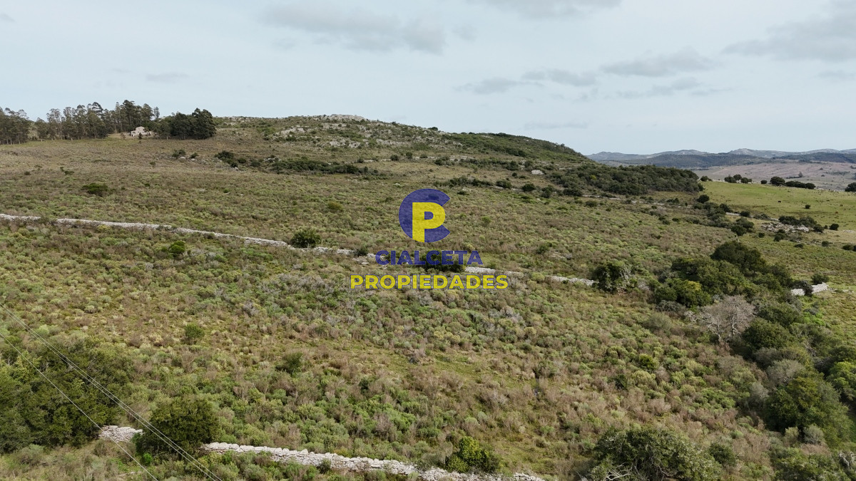 Campo Ref.508 - 31 hectáreas con casa , cerro y buen acceso