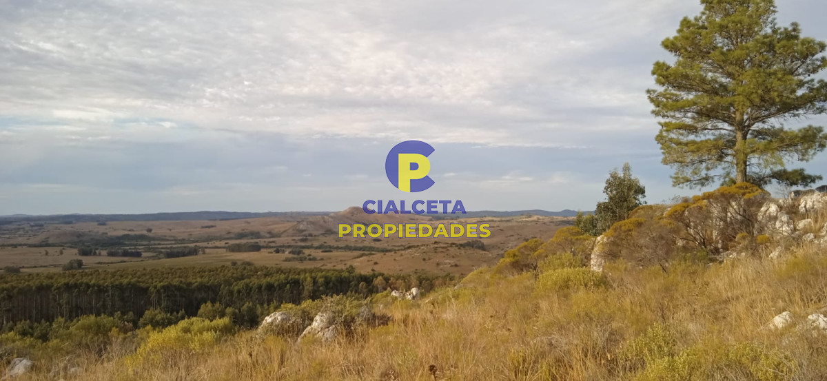 Campo Ref.50 - 5 hectáreas, entrega 8.000 U$S y cuotas de 593 U$S
