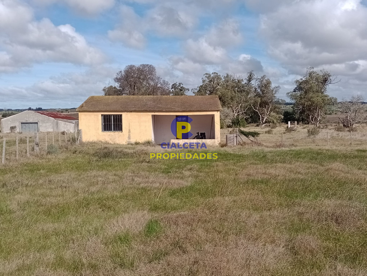 Campo Ref.280 - 102 hectáreas en Canelones
