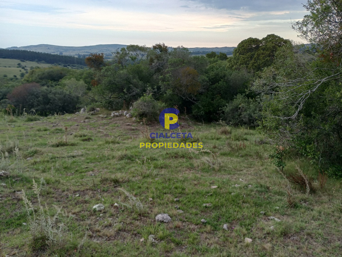 Campo Ref.182 - 5 hectáreas en Pueblo Edén