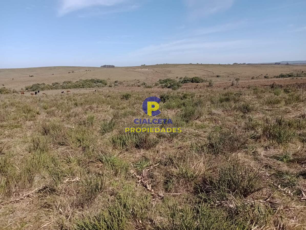 Campo Ref.381 - 315 hectáreas en Rocha