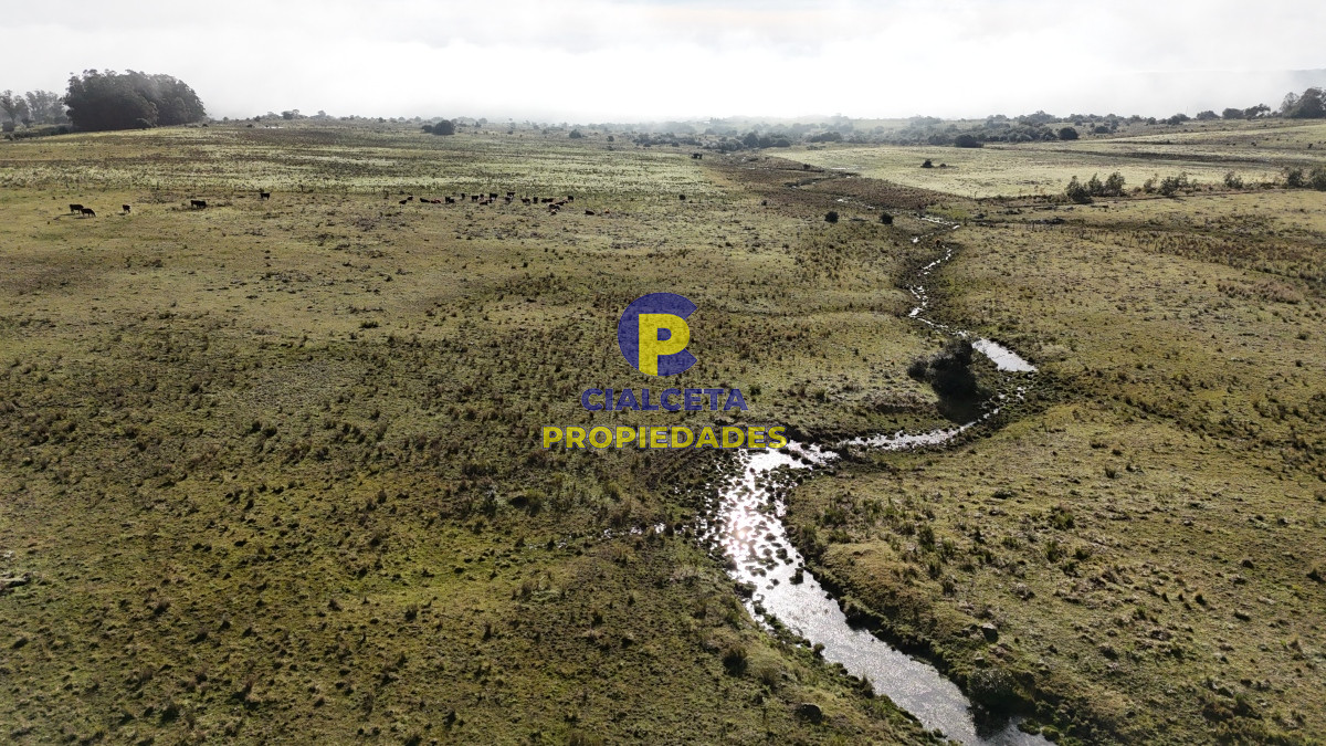 Campo Ref.466 - 24 hectáreas con aguada natural en Lavalleja