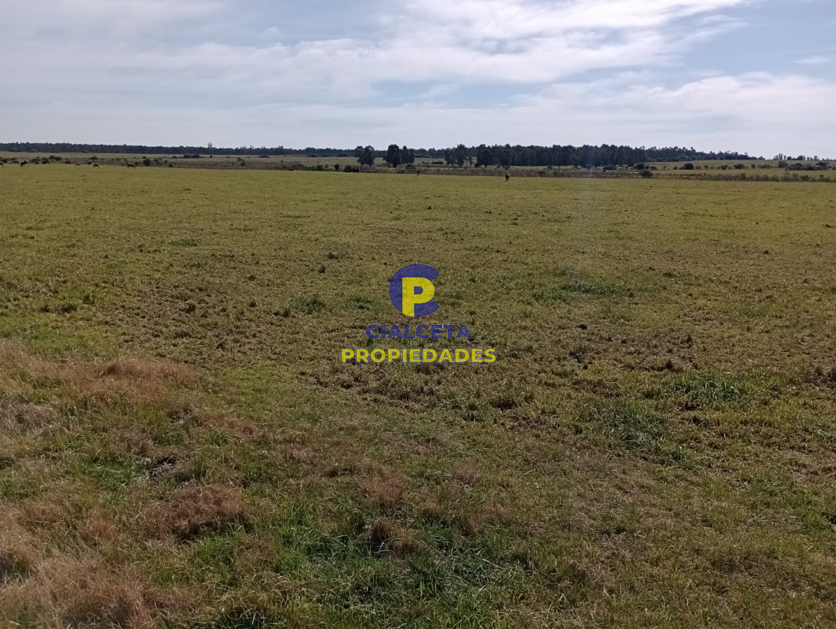 Campo Ref.288 - 5 hectáreas en Maldonado