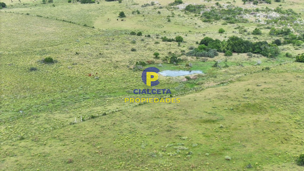 Campo Ref.400 - 61 hectáreas en Maldonado