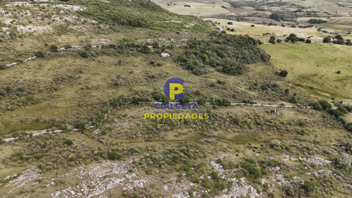 Campo Ref.508 - 31 hectáreas con casa , cerro y buen acceso