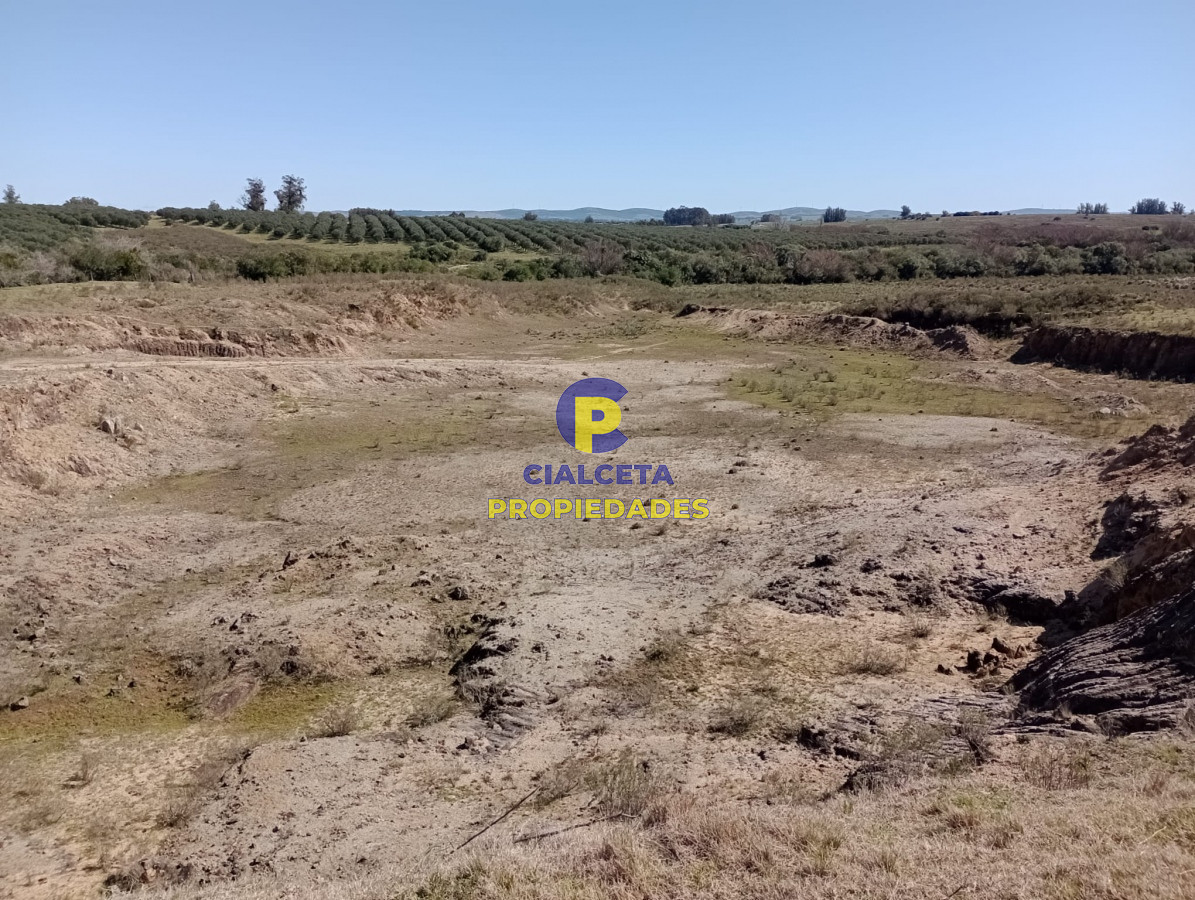 Campo Ref.307 - 16 hectáreas en Maldonado