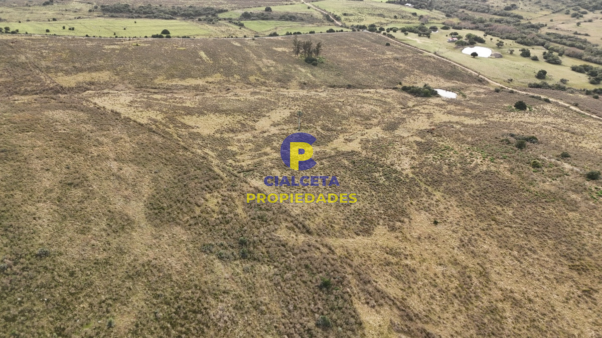 Campo Ref.502 - 86 hectáreas en Maldonado, con aguada, monte y cerro