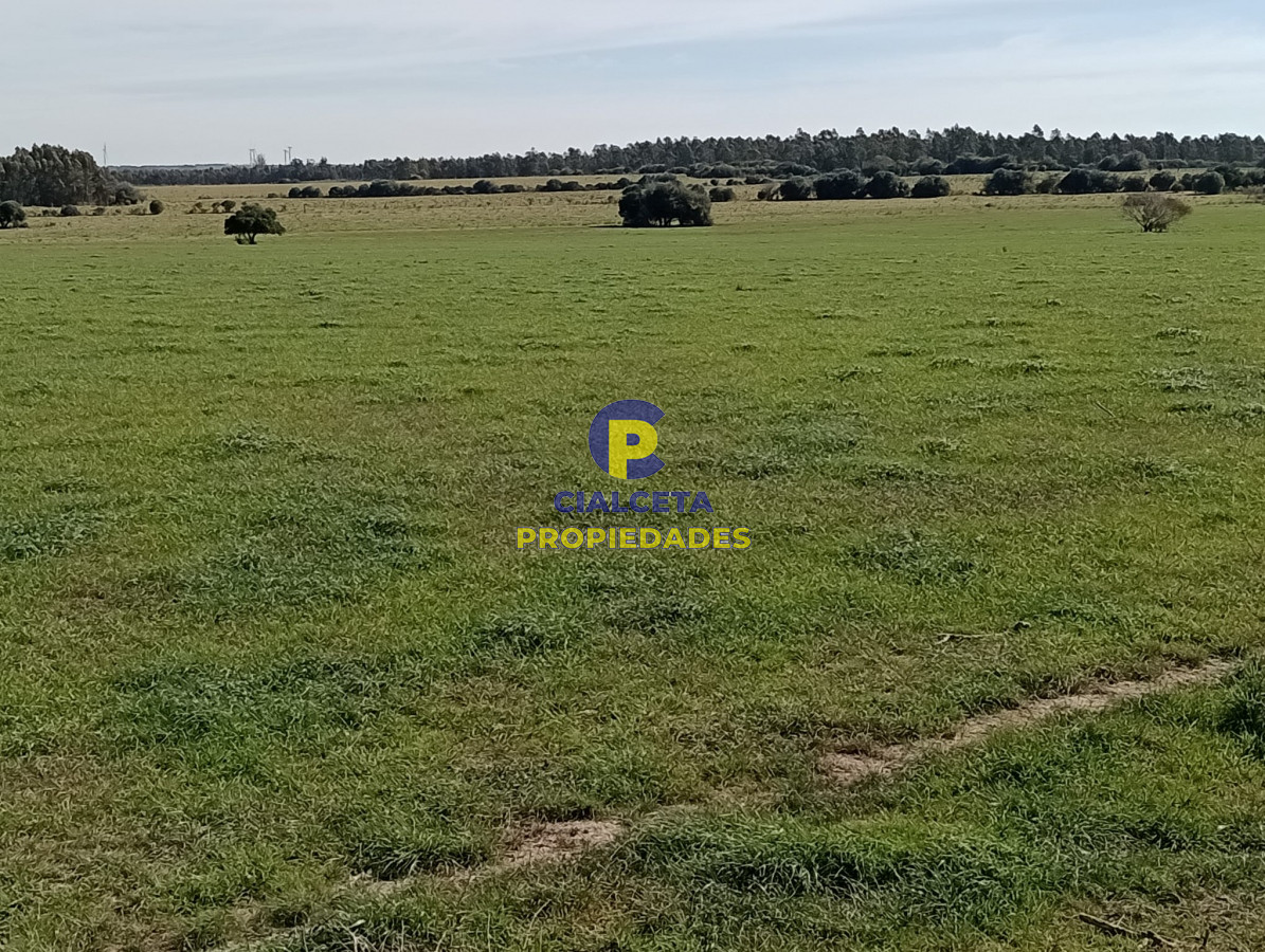 Campo Ref.288 - 5 hectáreas en Maldonado