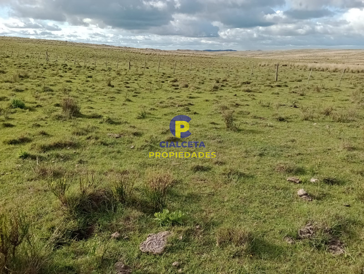 Campo Ref.175 - 140 hectáreas en Lavalleja