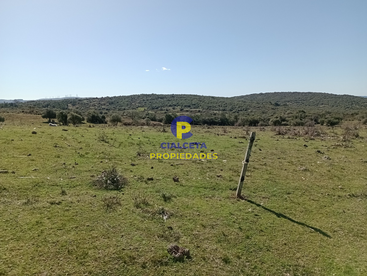Campo Ref.135 - 2957 hectáreas en Cerro Largo