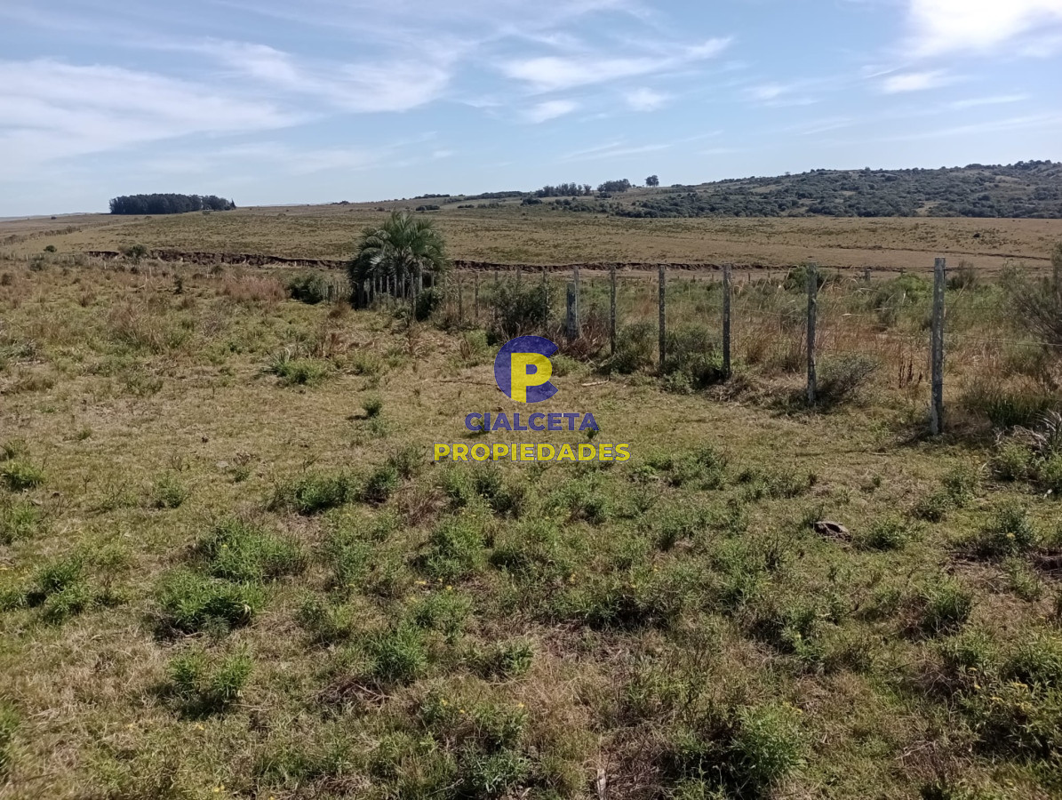 Campo Ref.381 - 315 hectáreas en Rocha