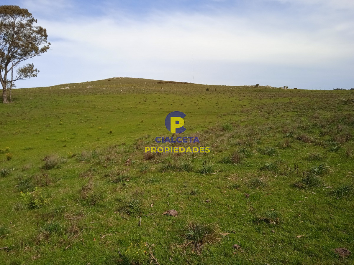 Campo Ref.106 - 79 hectáreas en Lavalleja, ideal fraccionamiento
