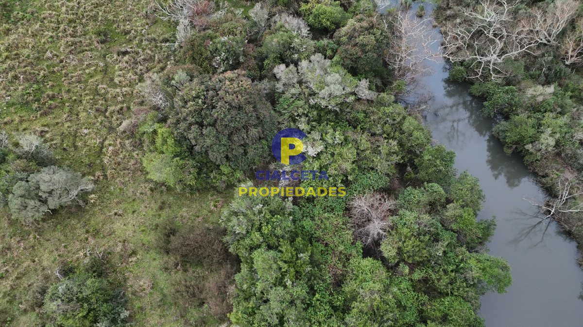 Campo Ref.461 - 60 hectáreas con arroyo y cañada en Maldonado