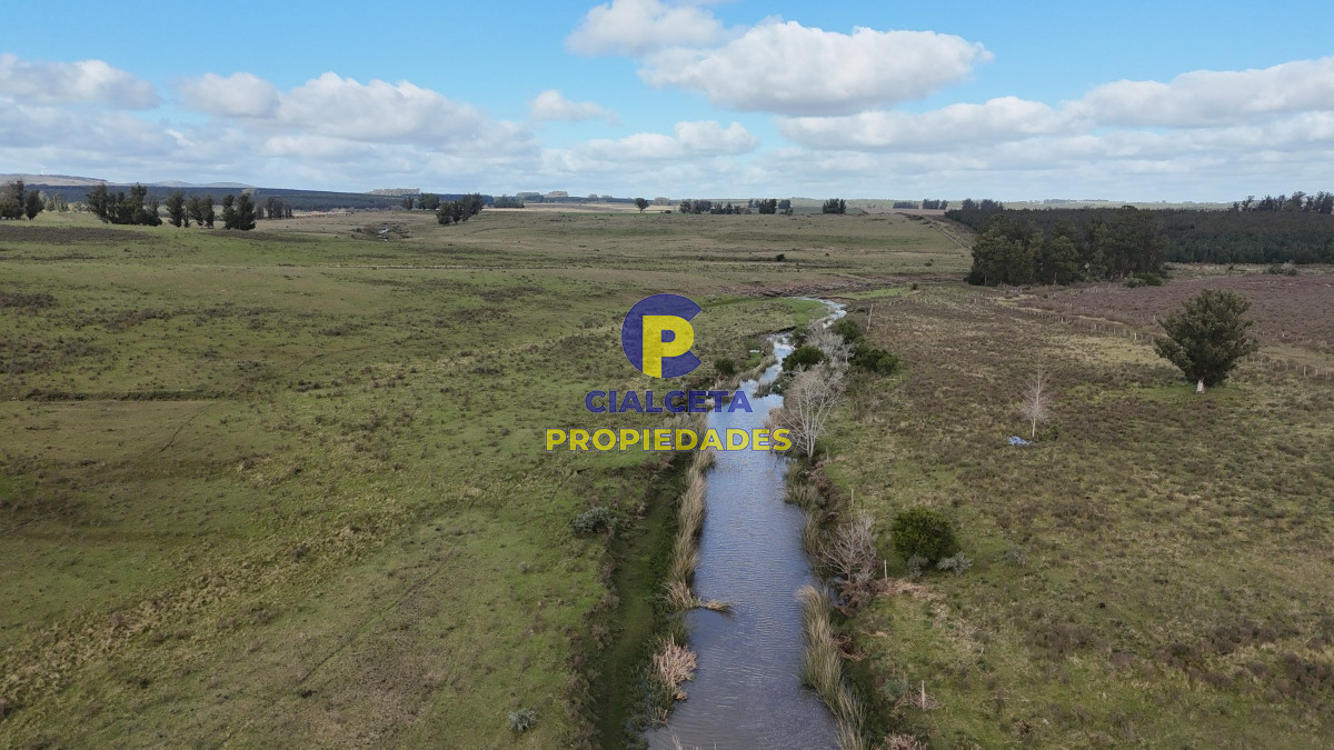 Campo Ref.454 - 430 hectáreas en Minas