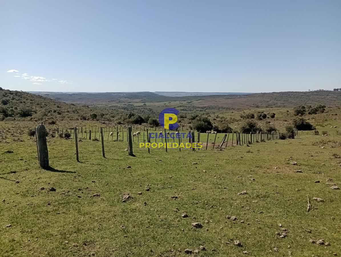 Campo Ref.136 - 811 hectáreas en Treinta y Tres