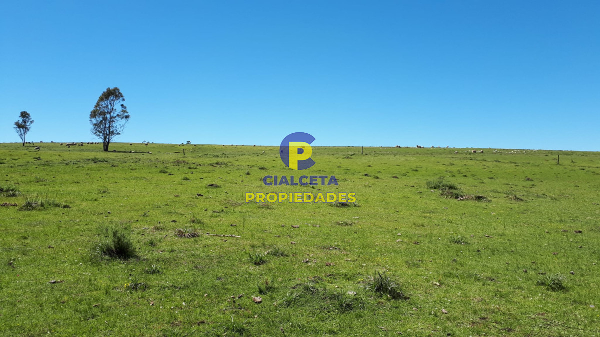 Campo Ref.325 - 298 hectáreas en Lavalleja