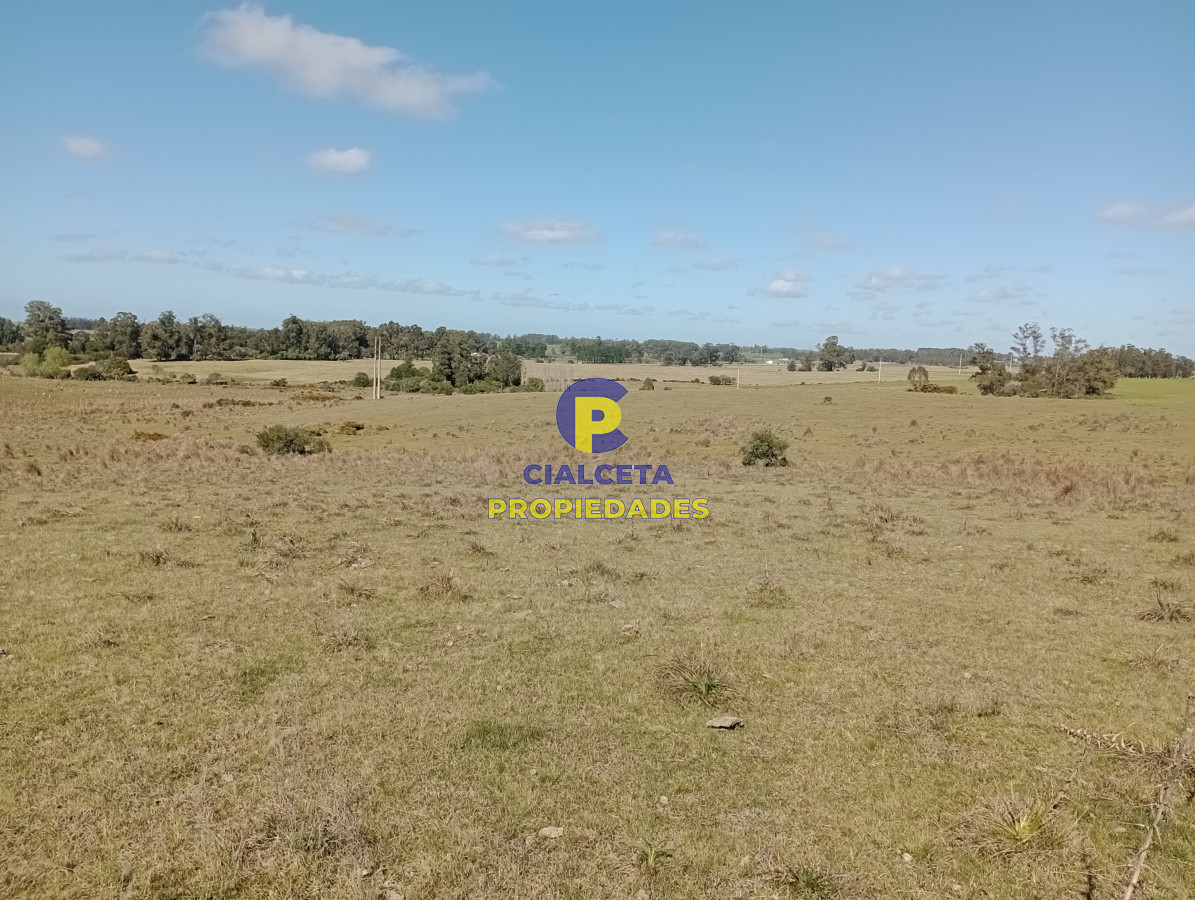 Campo Ref.98 - 125 hectáreas en Rocha