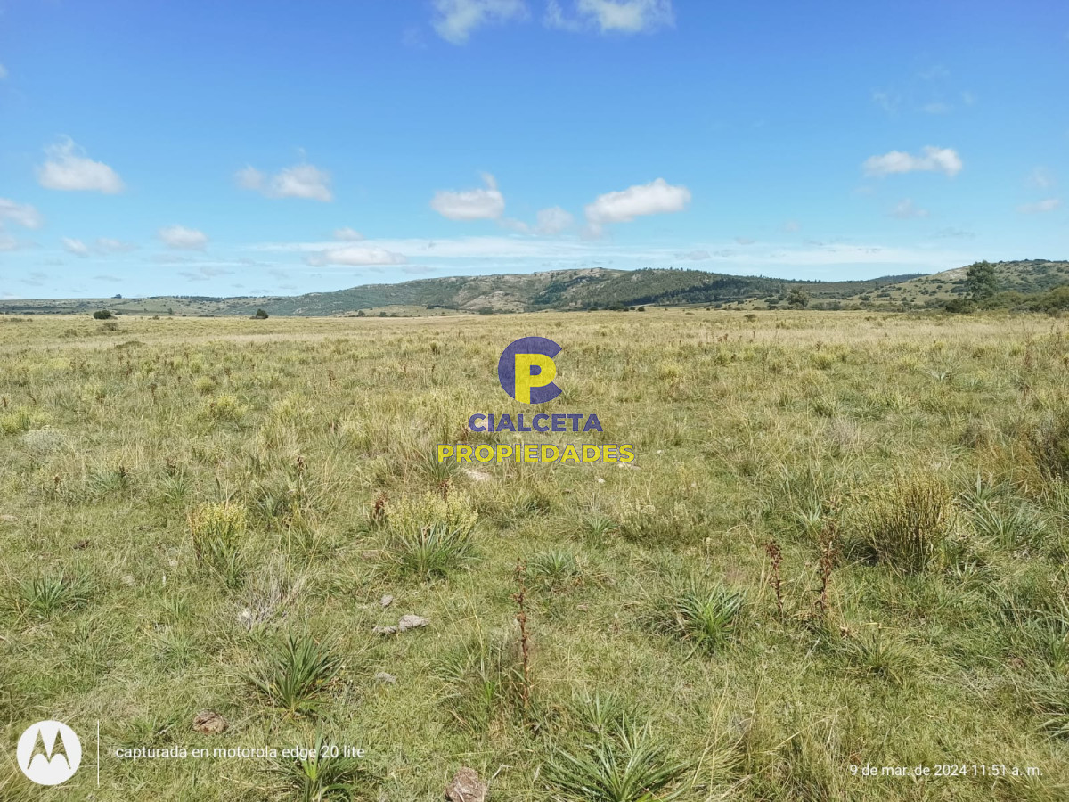 Campo Ref.408 - 16 hectáreas en Minas a la venta