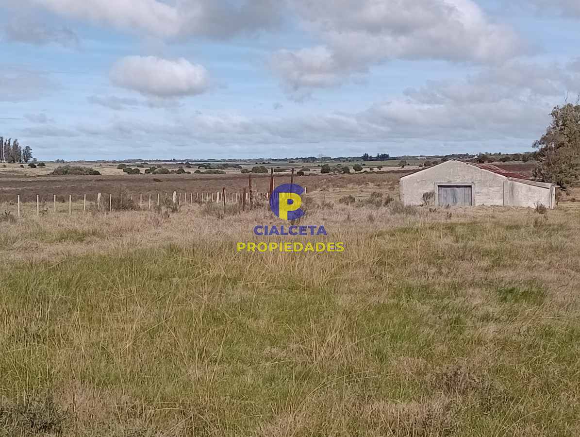 Campo Ref.280 - 102 hectáreas en Canelones