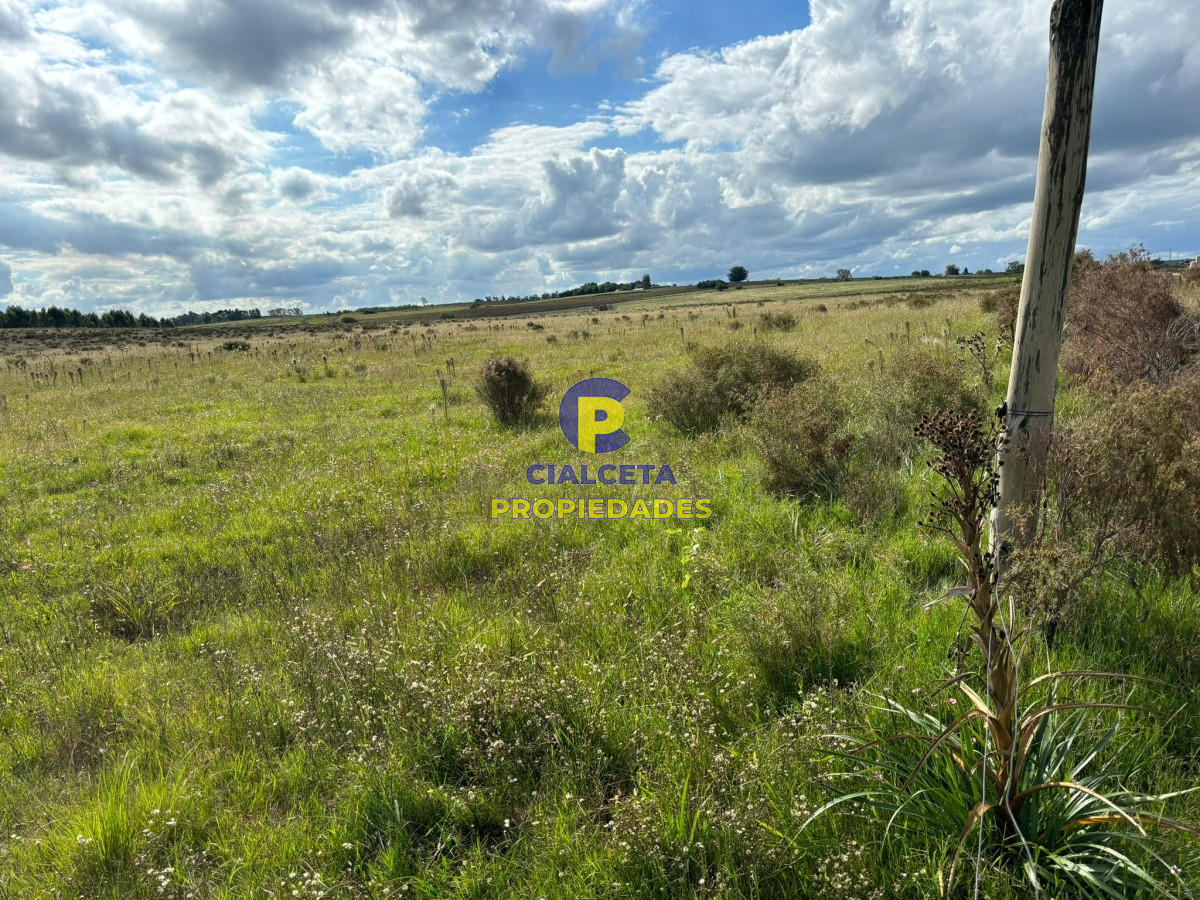 92 hectáreas en Migues - GoPunta - Portal Inmobiliario de Punta del Este - Maldonado