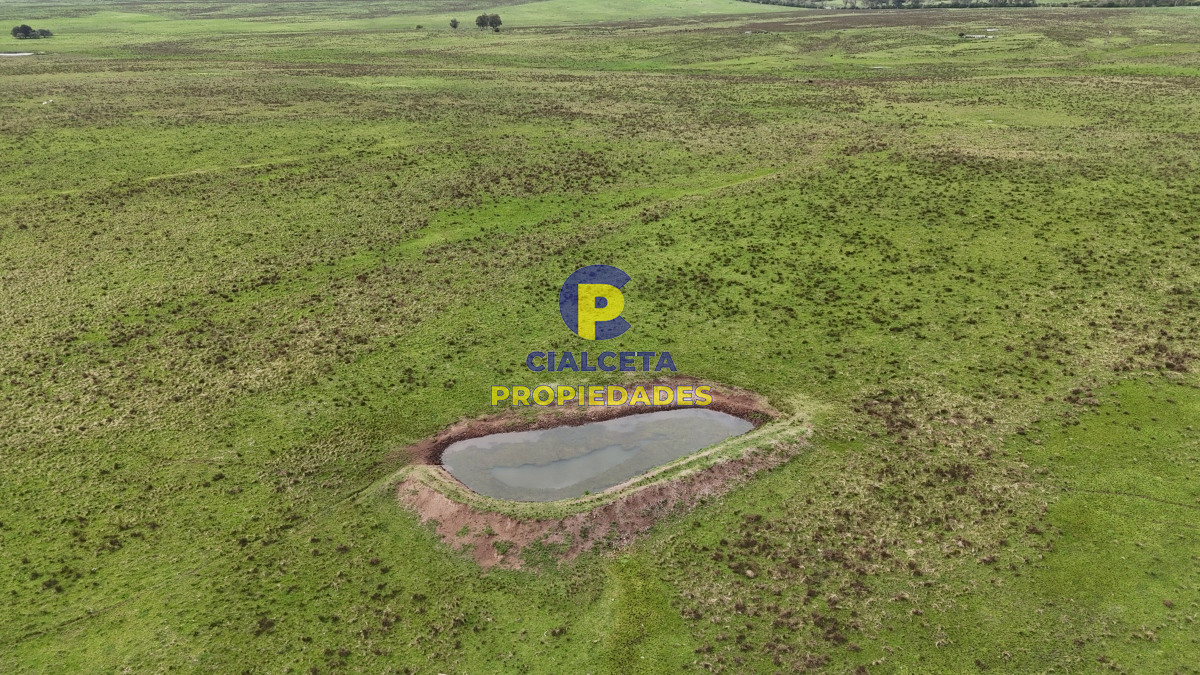 Campo Ref.538 - 68 hectáreas y media en Valle Fuentes con 200 de coneat