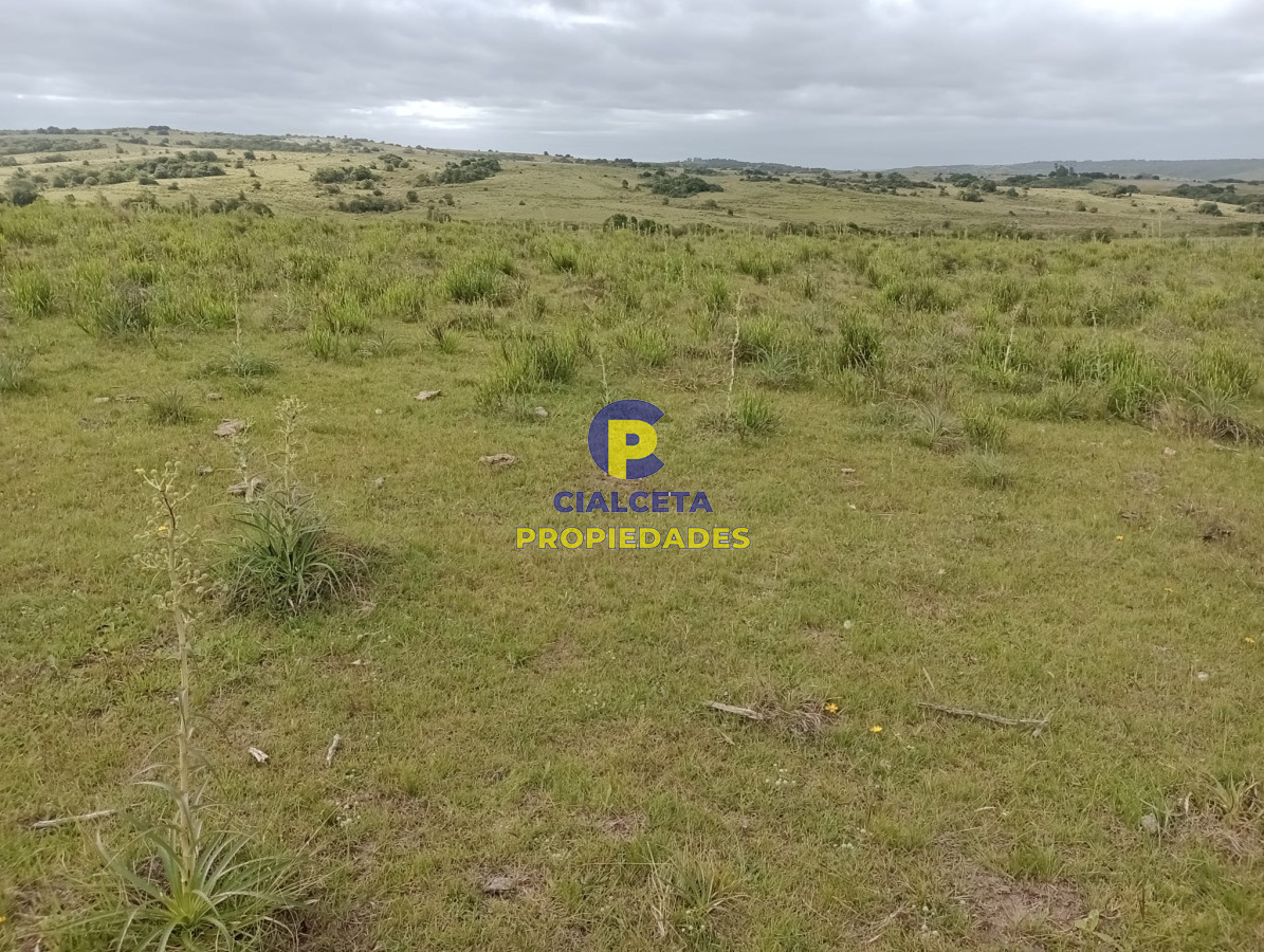 Campo Ref.358 - 198 hectáreas en Garzón