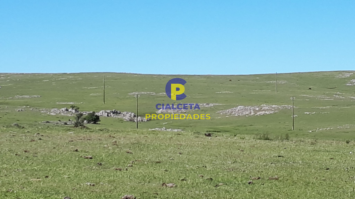 Campo Ref.322 - 100 hectáreas en Lavalleja