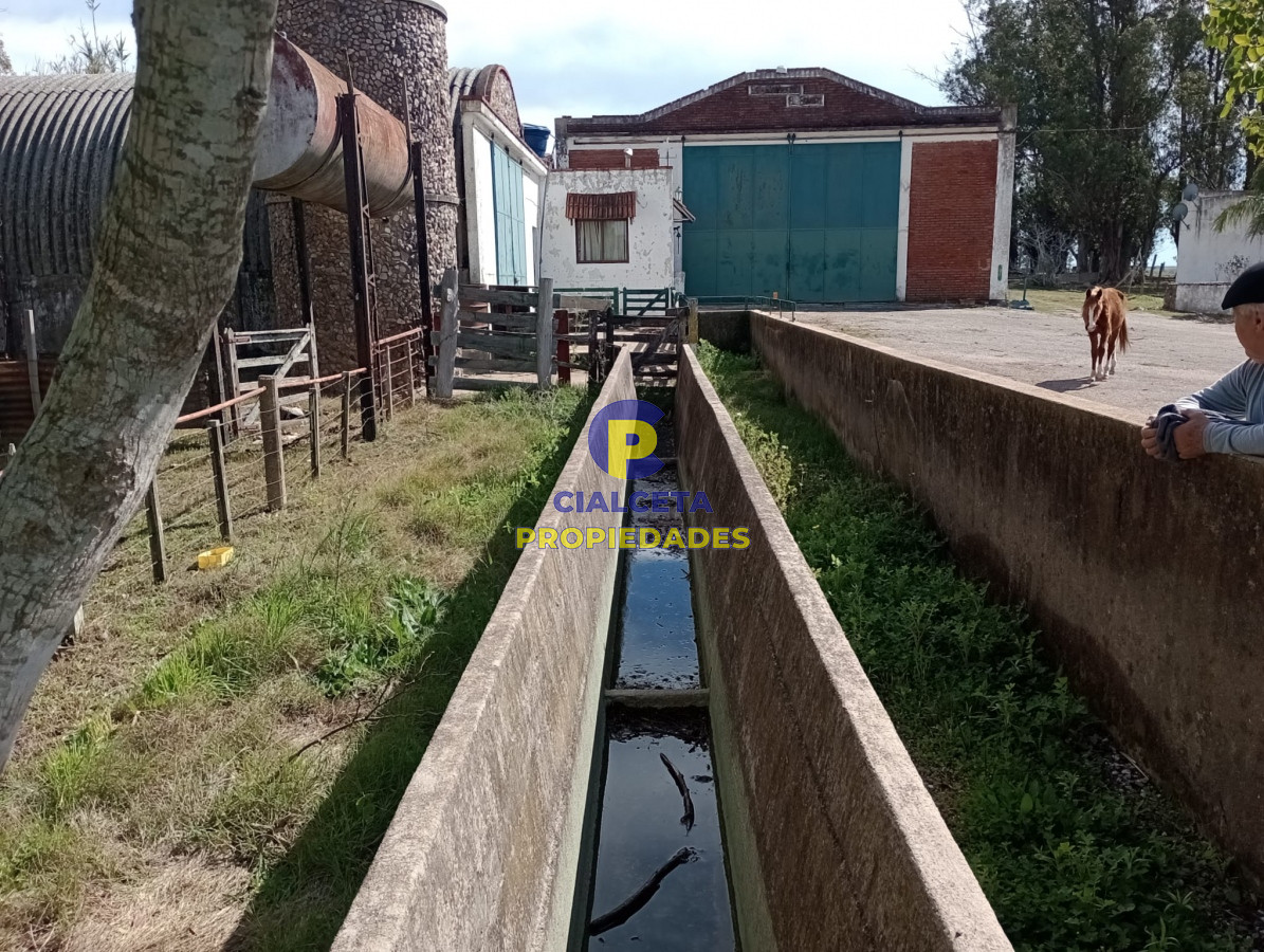 Campo Ref.295 - 22 hectáreas en lavalleja