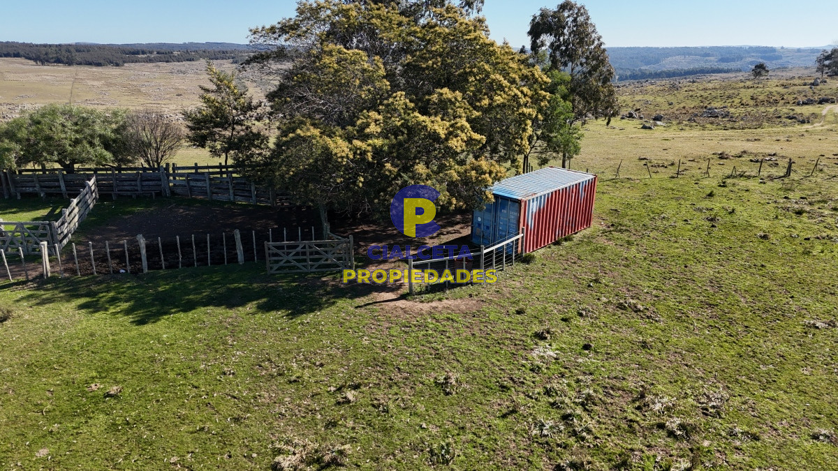 Campo Ref.494 - 140 hectáreas a 3.000 dólares la hectárea