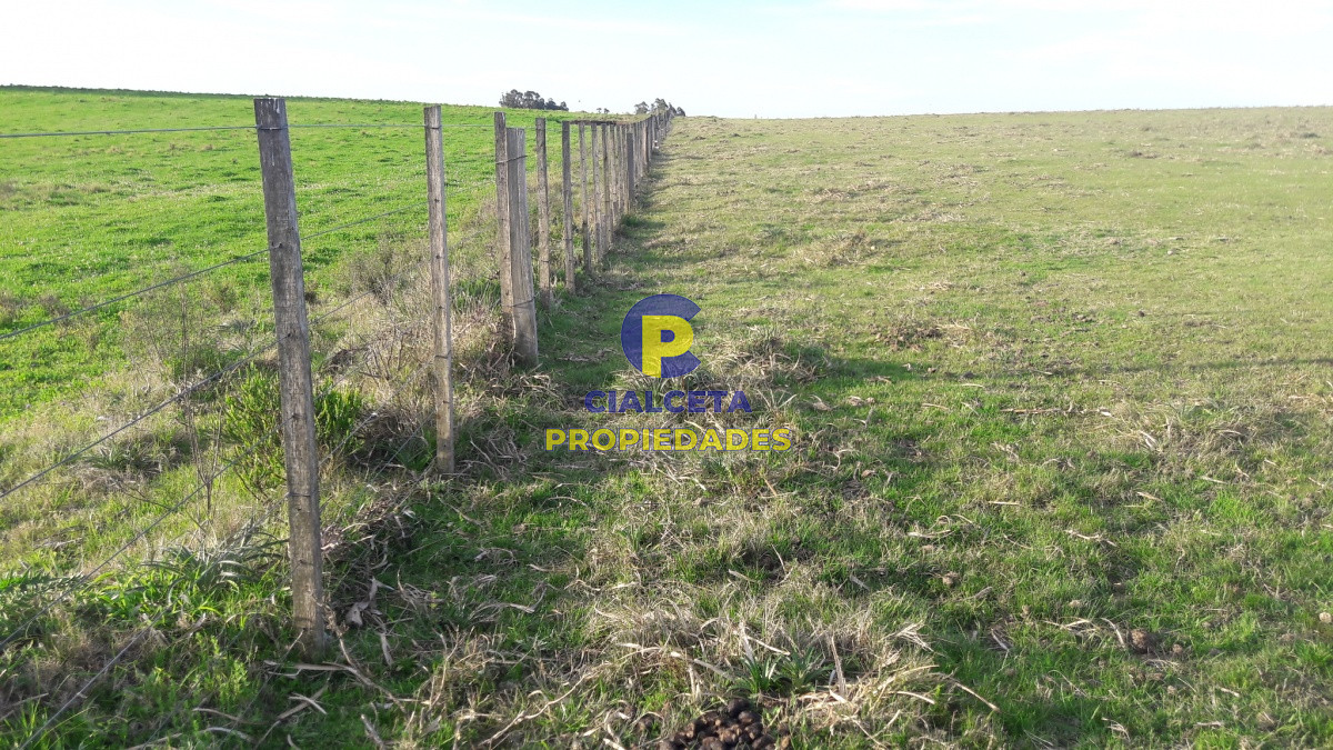 Campo Ref.211 - 8 hectáreas con casa y caballerizas
