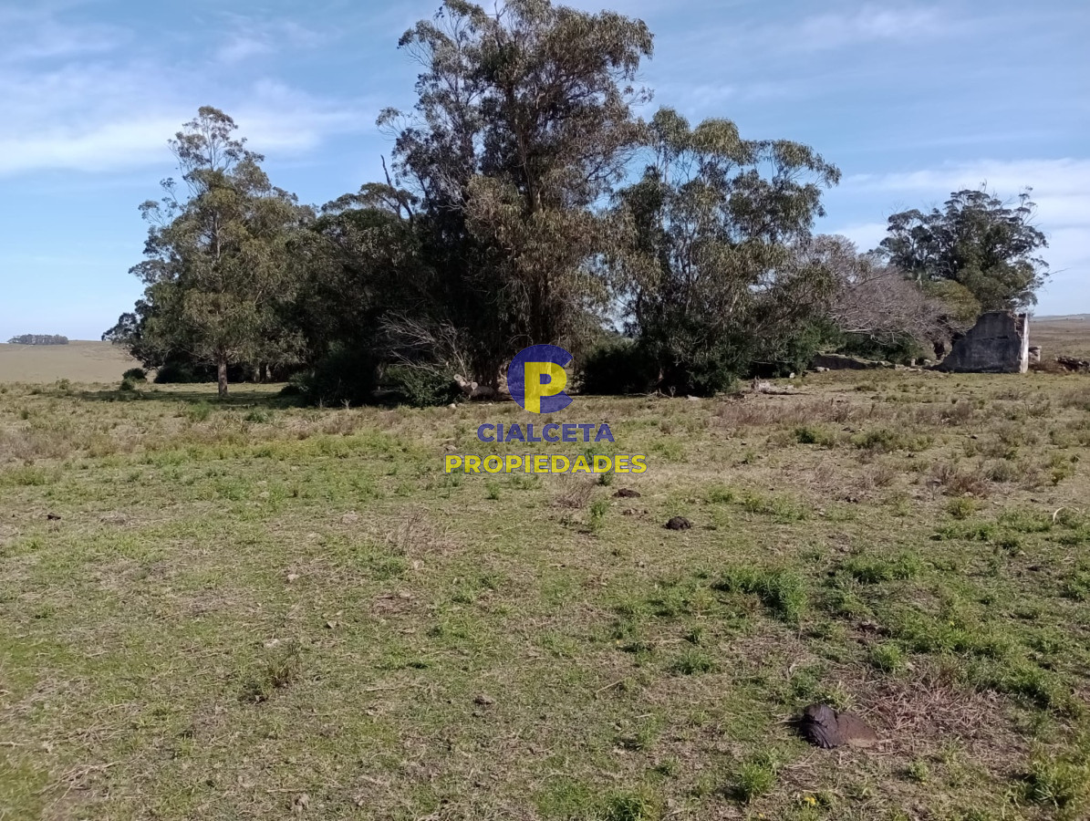 Campo Ref.381 - 315 hectáreas en Rocha