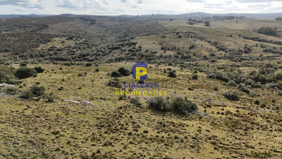 95 hectáreas en Maldonado con cañada - GoPunta - Portal Inmobiliario de Punta del Este - Maldonado