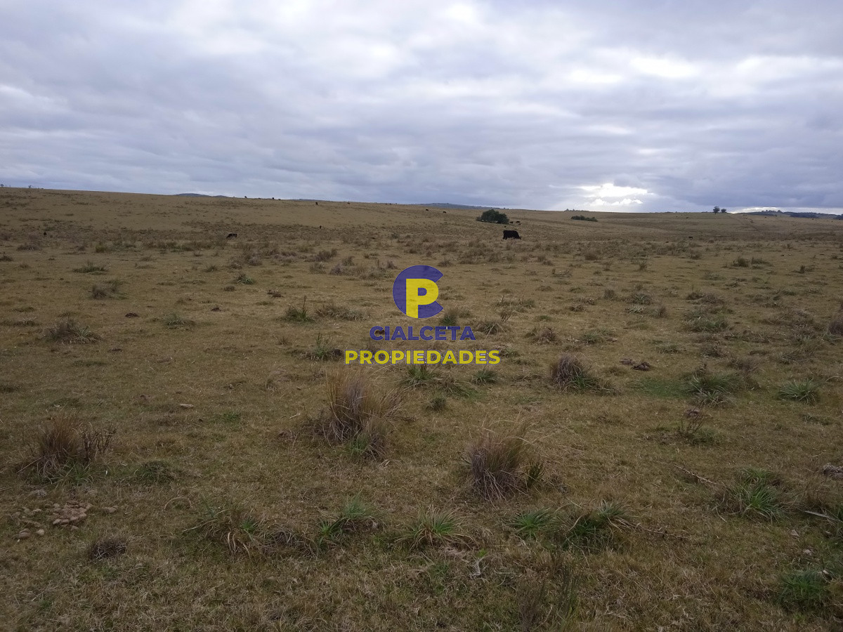 Campo Ref.122 - 60 hectáreas en Garzón