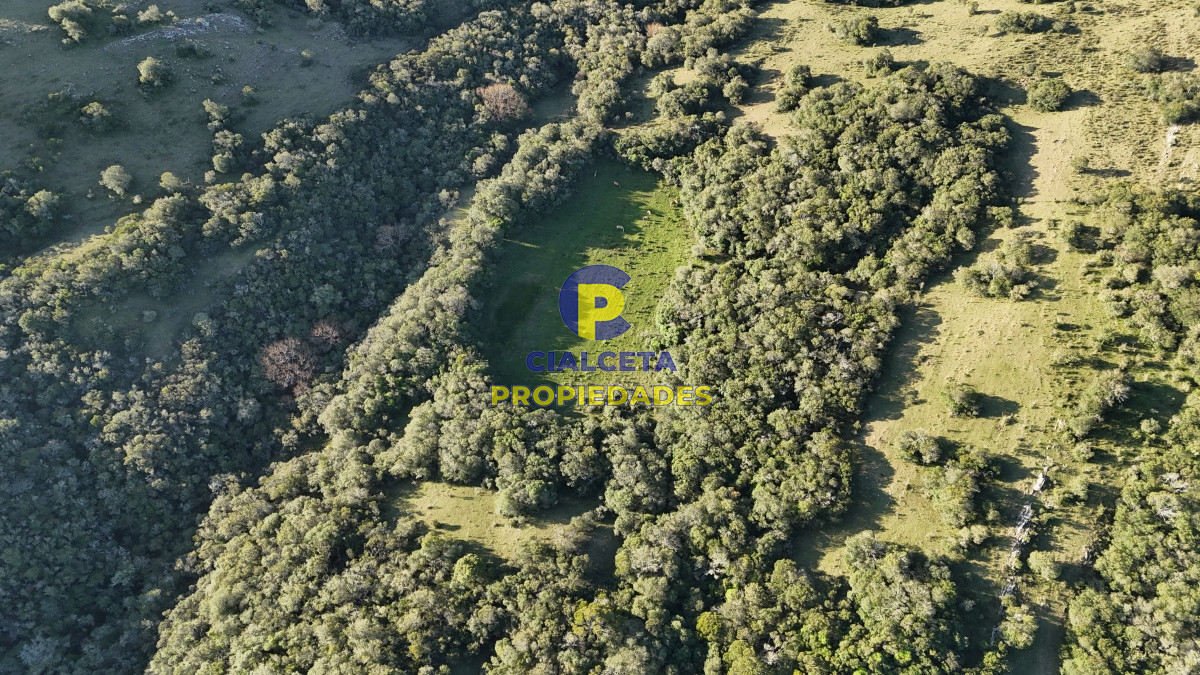 Campo Ref.526 - 60 hectáreas con casa , monte nativo, hermoso lugar