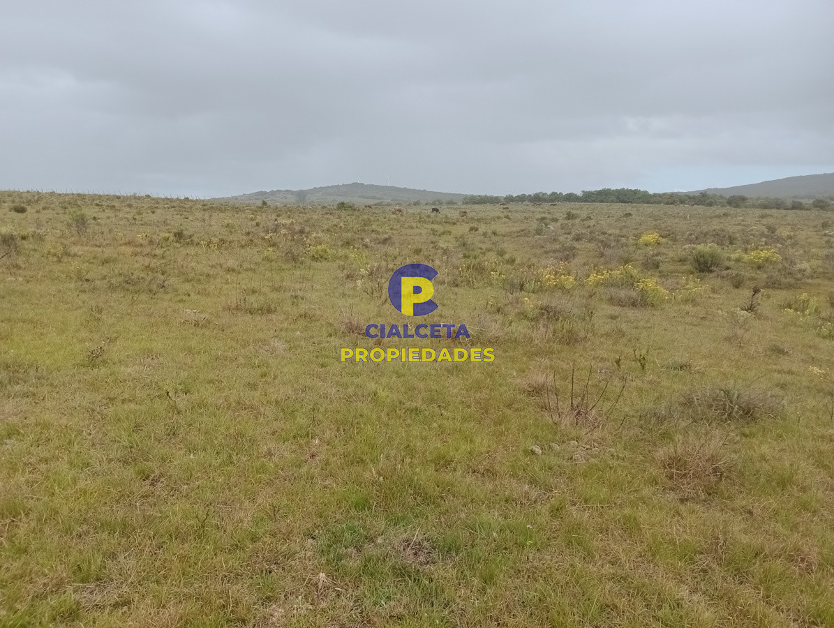 Campo Ref.113 - 5 hectáreas en Maldonado, Pueblo Edén