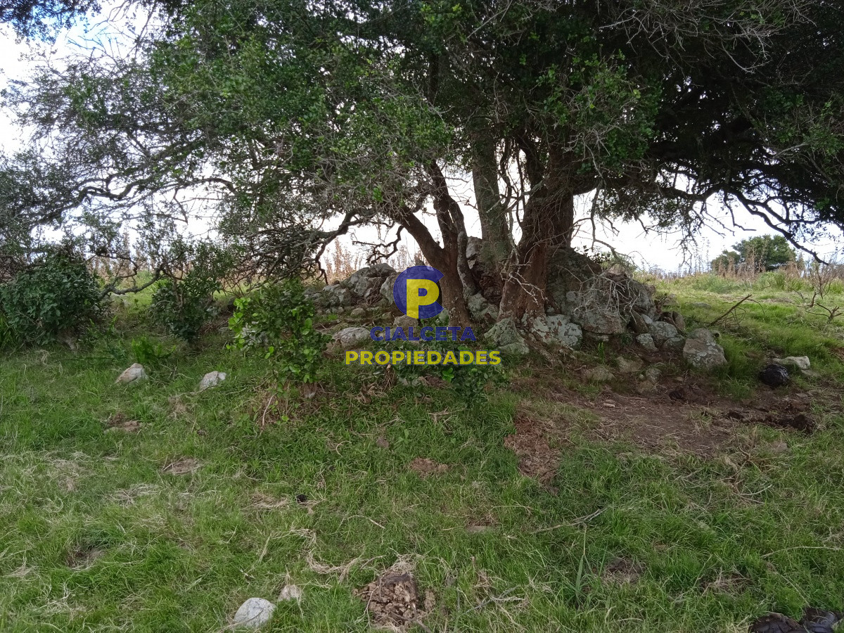 Campo Ref.130 - 29 hectáreas en maldonado