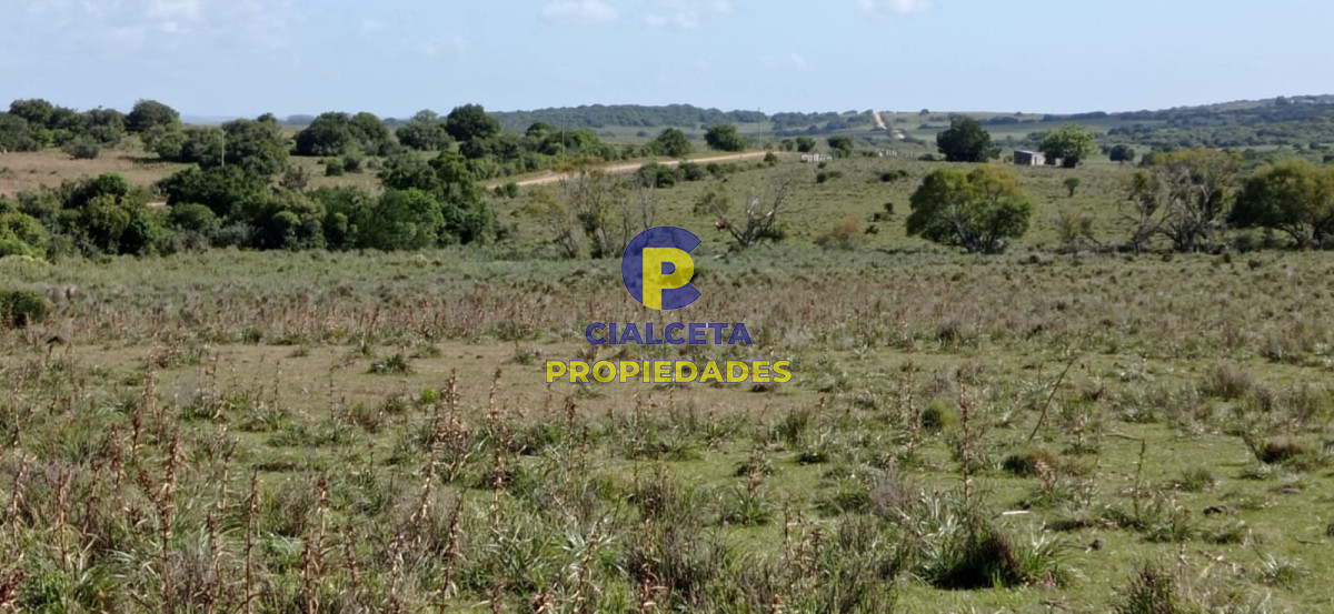 Campo Ref.77 - 419 hectáreas en Rocha