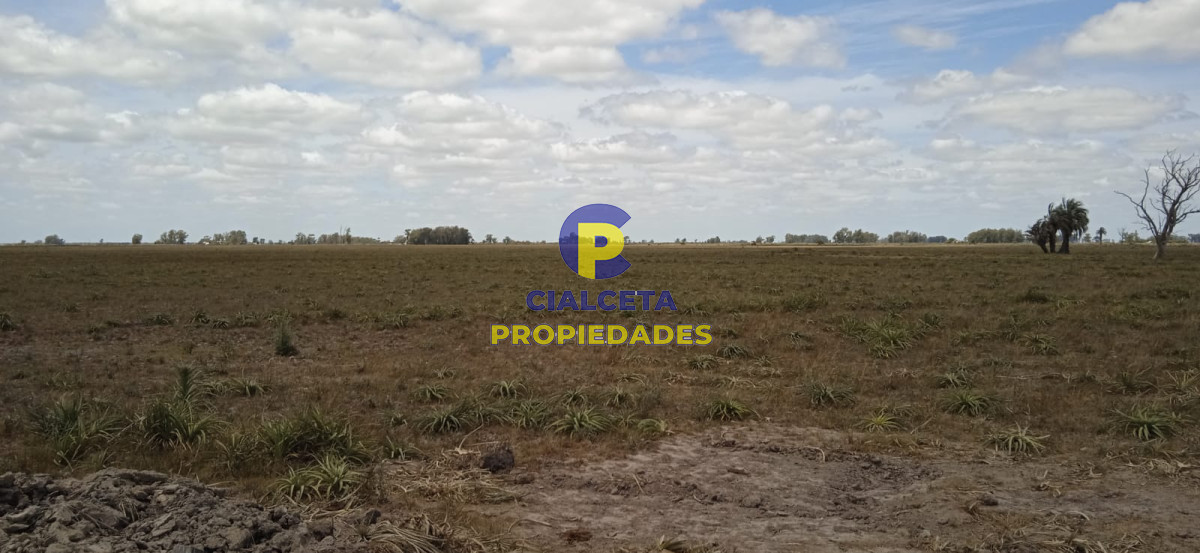 Campo Ref.75 - 643 hectáreas en 33