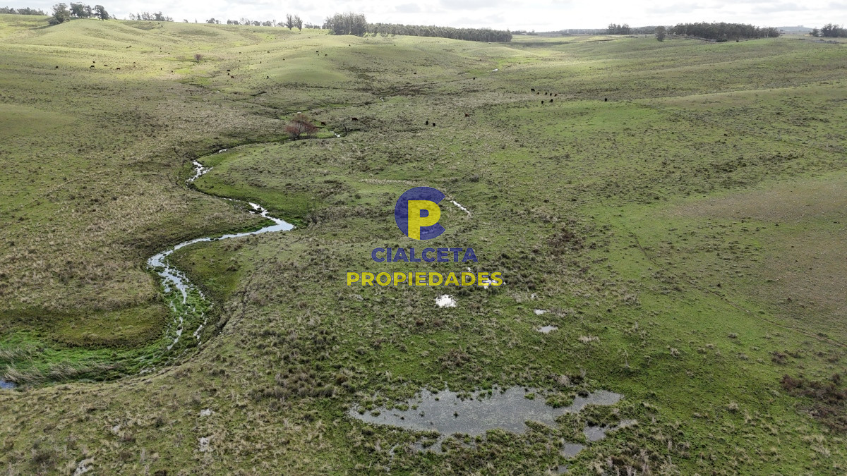 Campo Ref.454 - 430 hectáreas en Minas