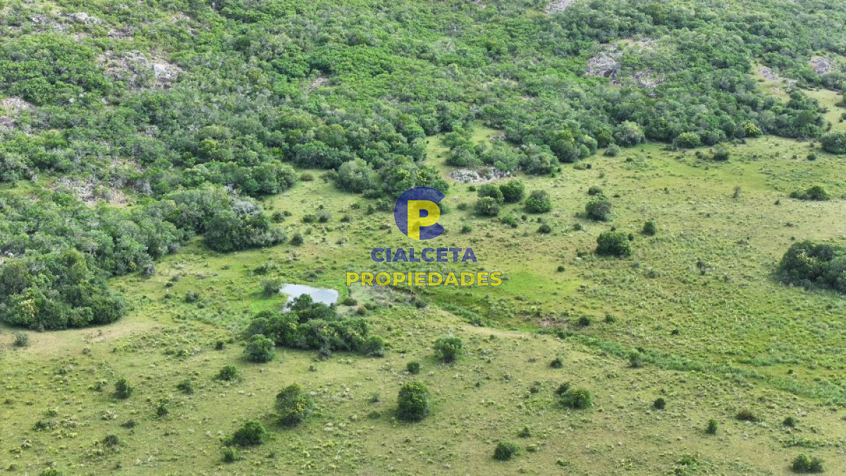 Campo Ref.400 - 61 hectáreas en Maldonado