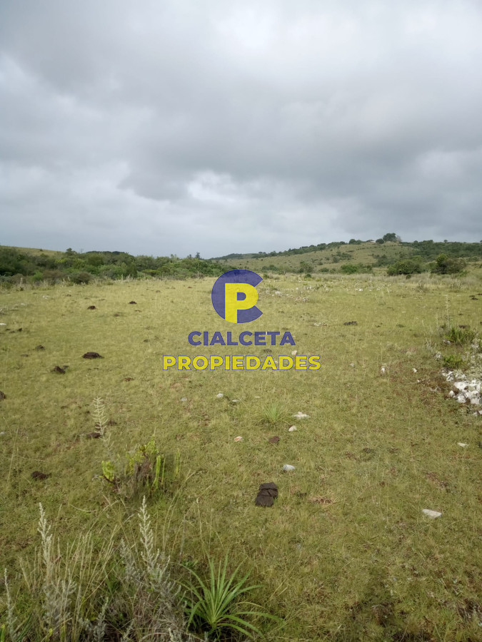 108 hectáreas a 12 km de Garzón - GoPunta - Portal Inmobiliario de Punta del Este - Maldonado