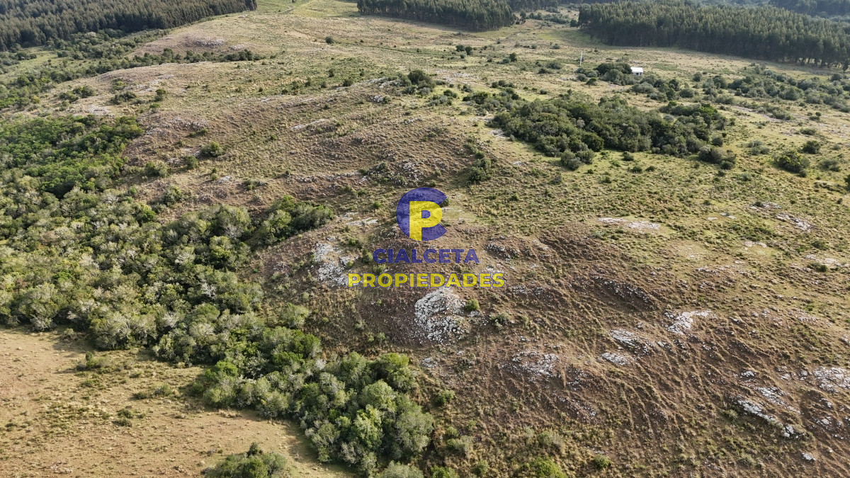 Campo Ref.441 - 200 hectáreas con muy buena vista
