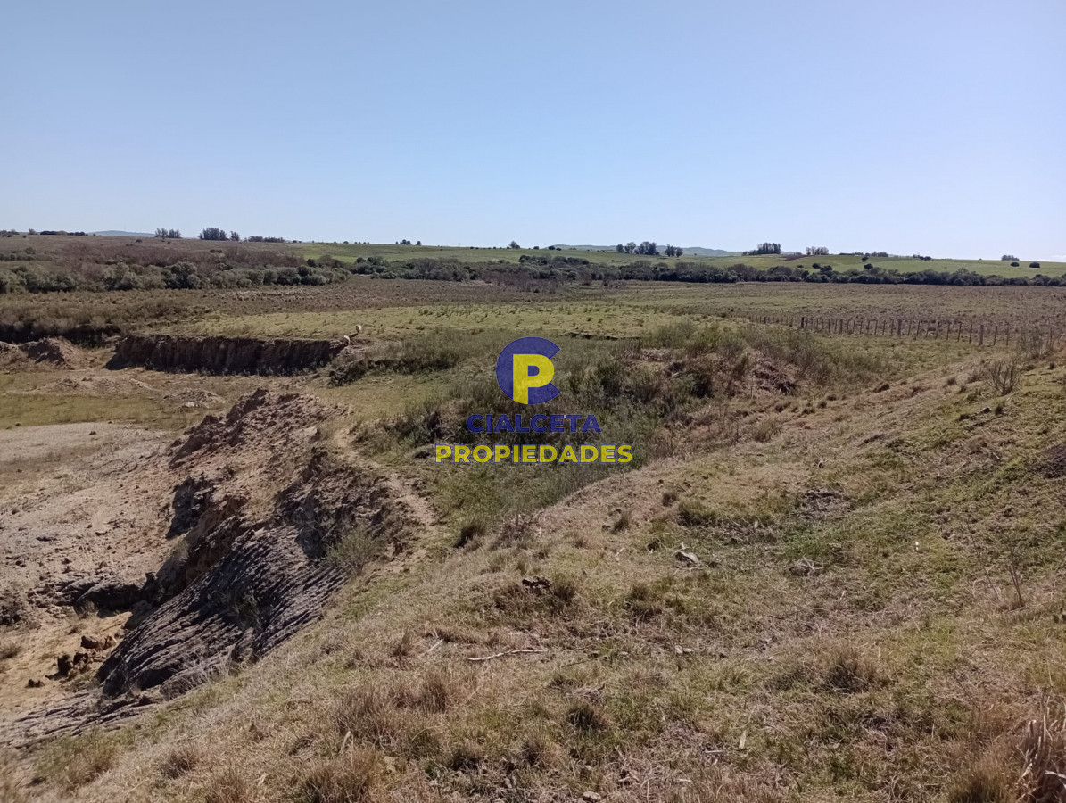 Campo Ref.307 - 16 hectáreas en Maldonado