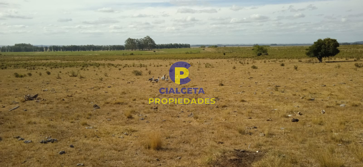 Campo Ref.125 - 40 hectáreas en Lavalleja